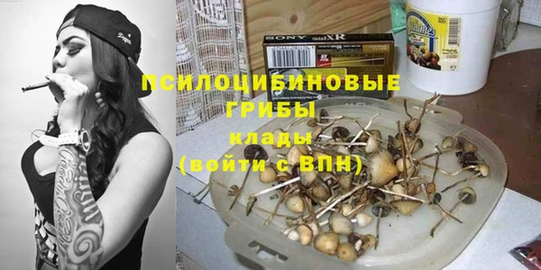 первитин Богданович