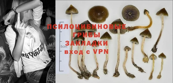 гашишное масло Богородицк