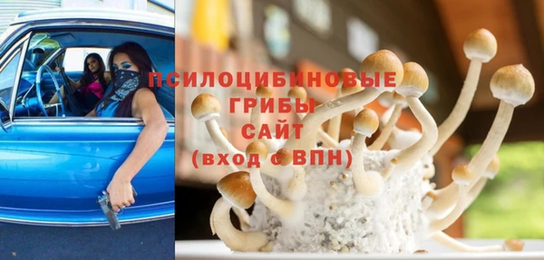 первитин Богданович