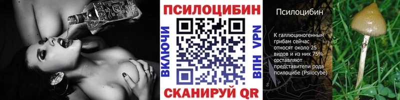 Купить закладки  Хасавюрт  Галлюциногенные грибы мухоморы 